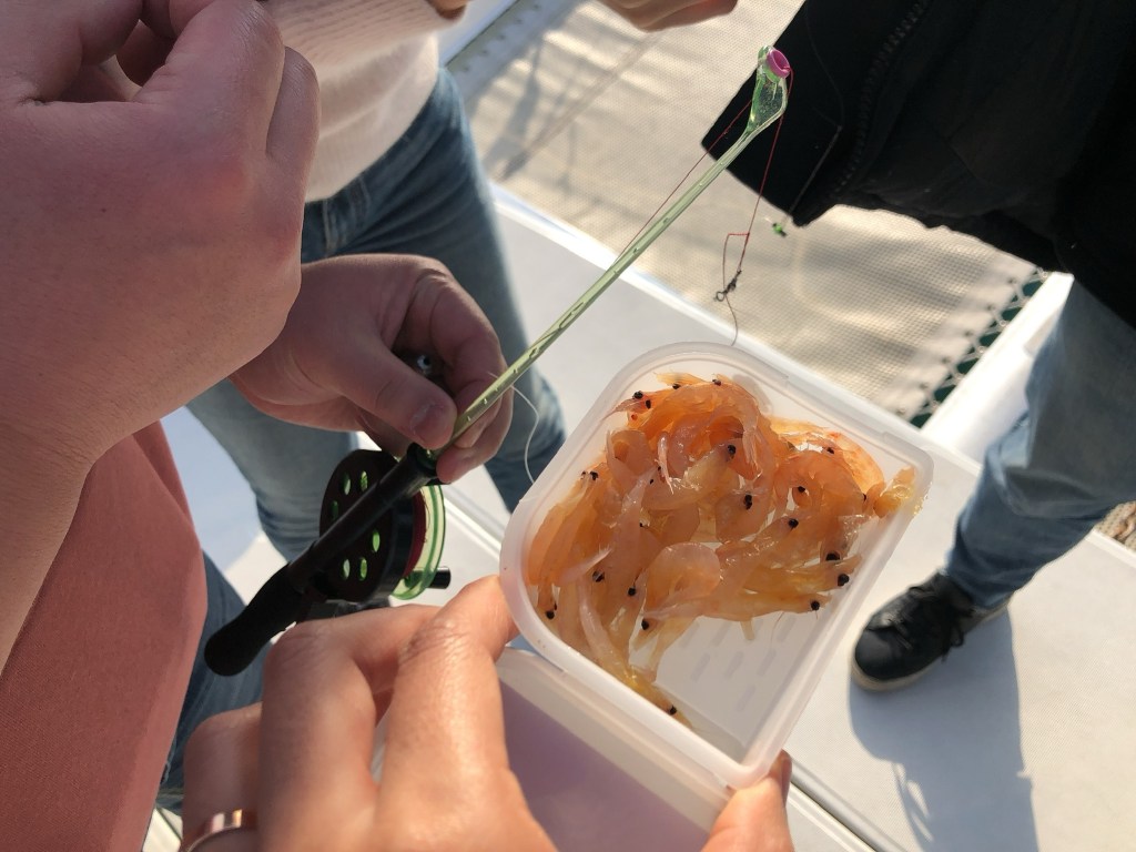 Yacht tour fishing course